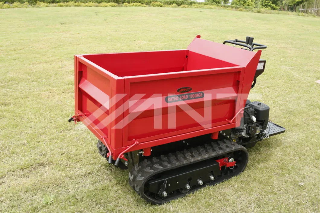 China Power Barrow/Muck Truck/Mini Dumper/Mini Loader By1000 with Ce