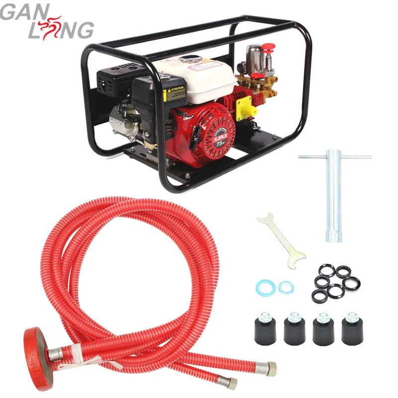 Agricultural 6.5HP Gasoline Petrol Engine Power Sprayer Three Plunger Pump