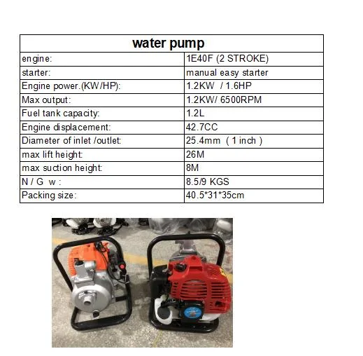 Dl Agricultural High Power Gasoline Engine Drives The Sprayer Self-Priming Pump